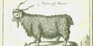 “Tarihi Dokumak: Bir Kentin Gizemi” sergisine adım adım