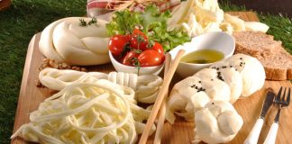 Kaya çiftliği Horeca sektörüne hareket getirecek