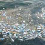 WWF, Akdeniz’e günde 144 ton plastik atık Türkiye’den atılıyor! Piknik Alanları Doğayla İç İçe Huzurlu Anlar