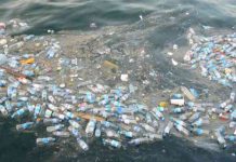 WWF, Akdeniz’e günde 144 ton plastik atık Türkiye’den atılıyor! Piknik Alanları Doğayla İç İçe Huzurlu Anlar