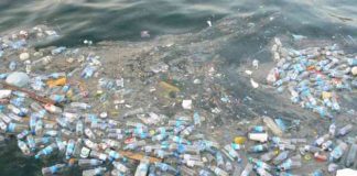 WWF, Akdeniz’e günde 144 ton plastik atık Türkiye’den atılıyor! Piknik Alanları Doğayla İç İçe Huzurlu Anlar
