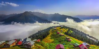 “Allah aşkına geri kalan yaylalara dokunmayın!”