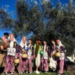 Zeytin tarlaları şenlendi… Şimdi Ayvalık zamanı!