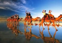 Destination Options‘tan Ürdün çıkartması