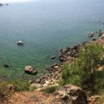 Martha Koyu, açık artırma ile özel kişilere devredildi