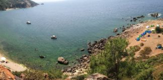 Martha Koyu, açık artırma ile özel kişilere devredildi