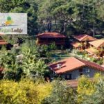 Türkiye’de bir vegan otel daha hizmete giriyor