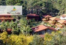 Türkiye’de bir vegan otel daha hizmete giriyor