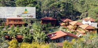 Türkiye’de bir vegan otel daha hizmete giriyor