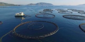 İzmir’deki balık çiftliği projesinde bu ısrar neden?