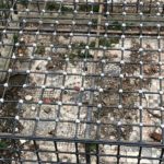 1700 yıllık Bizans mozaiği çöplüğe döndü