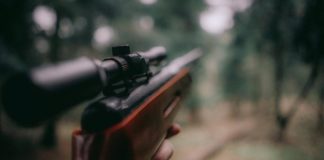 2 geyiğin vurulması için ihale: Hedef av turizmin geliştirmek!