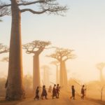 Cem Polatoğlu ile Madagaskar’ın renkli dünyasına yolculuk