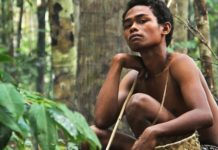 Türk turistlerin Malezya’ya ilgisi arttı