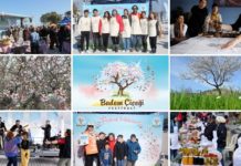 Datça turizmine “Badem Çiçeği” dopingi