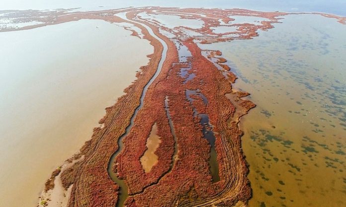 12 Bilim Insanindan Gediz Deltasi Icin Onemli Cagri Turizm Gunlugu