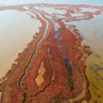 12 bilim insanından Gediz Deltası için önemli çağrı!