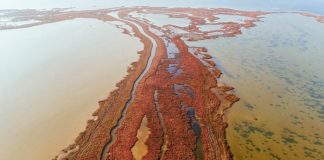 12 bilim insanından Gediz Deltası için önemli çağrı!