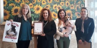 Sokak hayvanları için örnek iş birliği