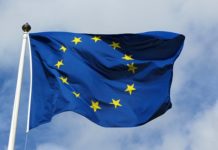 Avrupa Birliği’nden seyahat kısıtlamalarını uzatma çağrısı