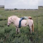 Merakla beklenen 212 Photography Festival takvimi belli oldu