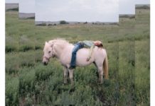 Merakla beklenen 212 Photography Festival takvimi belli oldu