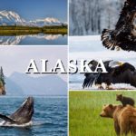 Alaska’ya benzersiz bir keşif gezisi…