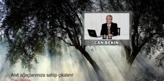Anıt ağaçlarımıza sahip çıkalım!