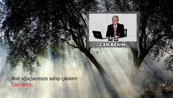 Can Bekin - Anıt Ağaçlar - Turizm Günlüğü