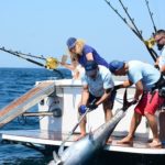 Didim turizmine balık avı dopingi!