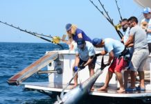 Didim turizmine balık avı dopingi!