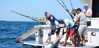 Didim turizmine balık avı dopingi!