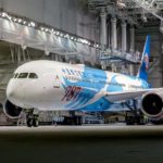 Çin’den İstanbul’a ‘rüya uçak’ ile seyahat başladı