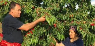 Tokat, gastronomi ve ekoloji ile markalaşmak istiyor