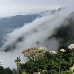 Yayla tatili için en iyi 10 otel tavsiyesi Gerçek anlamda yayla deneyimi yaşamak isteyenler için öne çıkan işletmeleri derledik. İşte Yayla tatili için en iyi 10 otel tavsiyesi.