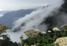 Yayla tatili için en iyi 10 otel tavsiyesi Gerçek anlamda yayla deneyimi yaşamak isteyenler için öne çıkan işletmeleri derledik. İşte Yayla tatili için en iyi 10 otel tavsiyesi.