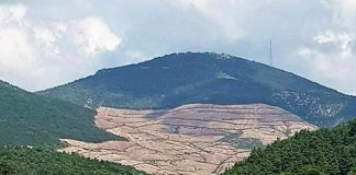 Uzmanlardan Kaz Dağları uyarısı geldi