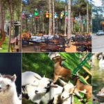 İstanbul’un ilk en kapsamlı doğa ve yaşam alanı: Park Of İstanbul