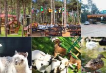 İstanbul’un ilk en kapsamlı doğa ve yaşam alanı: Park Of İstanbul