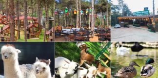 İstanbul’un ilk en kapsamlı doğa ve yaşam alanı: Park Of İstanbul