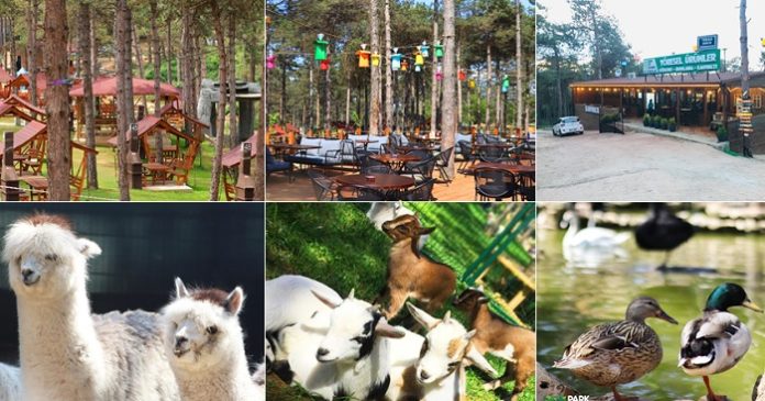 Park Of İstanbul
