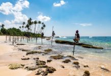 Sri Lanka Colombo’da bu 11 şeyi yapmadan dönmeyin