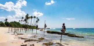 Sri Lanka Colombo’da bu 11 şeyi yapmadan dönmeyin