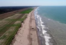 Tarsus’taki sahile 11 otel yapılacak