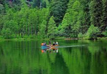 Türkiye’nin en yeşil rotaları…