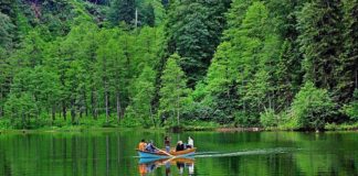 Türkiye’nin en yeşil rotaları…