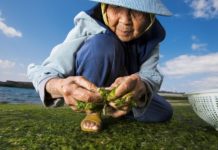 Japonların uzun yaşam sırrı ne?