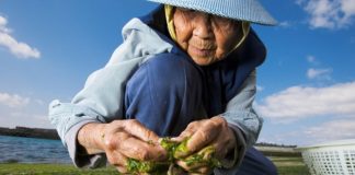 Japonların uzun yaşam sırrı ne?