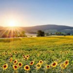 Yazın son demleri: 30 Ağustos’a özel 3 günlük rotalar