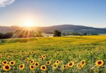 Yazın son demleri: 30 Ağustos’a özel 3 günlük rotalar